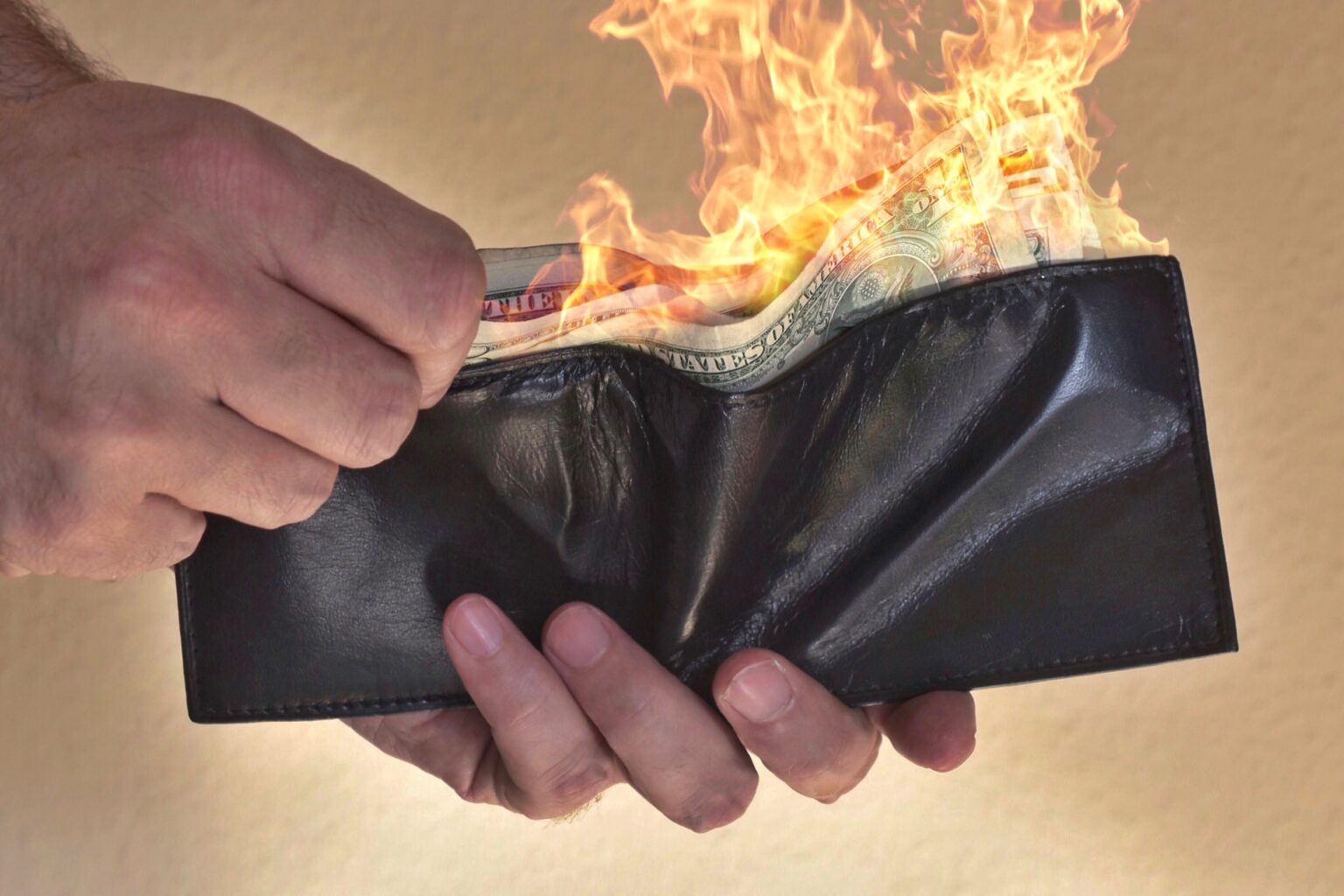 Burn Rate Pmp