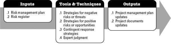 Plan Risk Responses PMP Inputs, Tools and Techniques, and Outputs